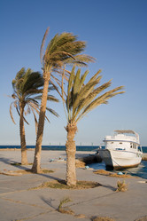 Similar image 868811