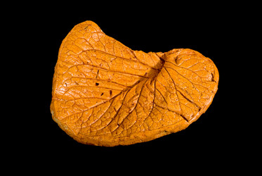 Similar image 868891