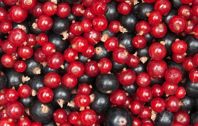 Similar image 868916