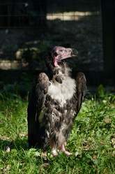 Similar image 868966