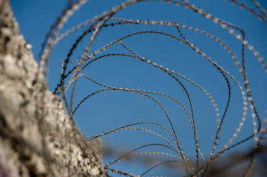 Similar image 869003