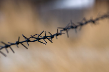 Similar image 869004