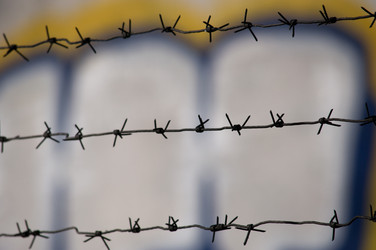 Similar image 869005