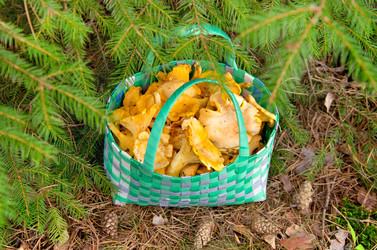 Similar image 869013