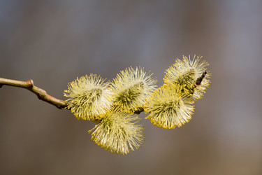 Similar image 869065