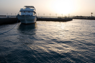 Similar image 869069