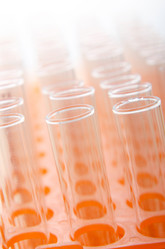 Similar image 869084