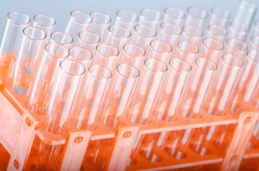 Similar image 869089