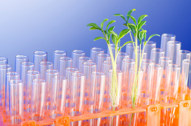 Similar image 869093