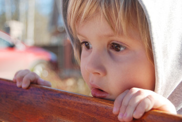 Similar image 869144