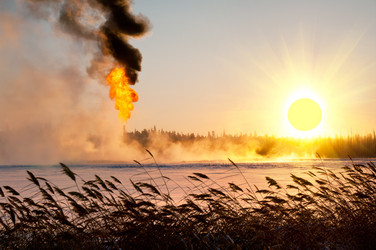 Similar image 869160