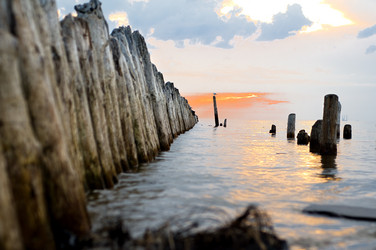 Similar image 869259