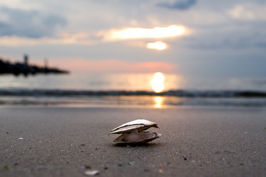 Similar image 869261