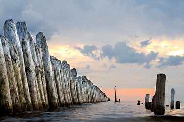 Similar image 869262