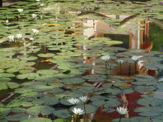 Similar image 869264