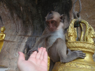 Similar image 869279