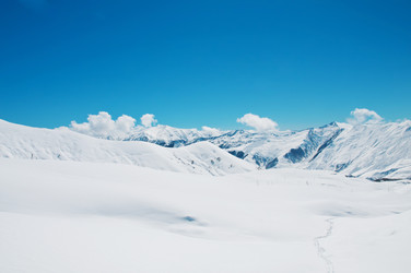 Similar image 869280