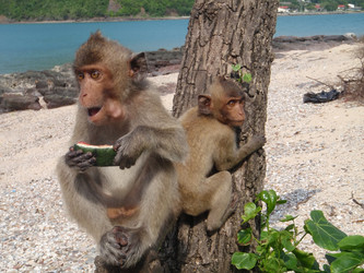 Similar image 869282