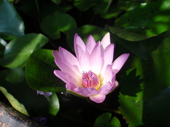 Similar image 869285