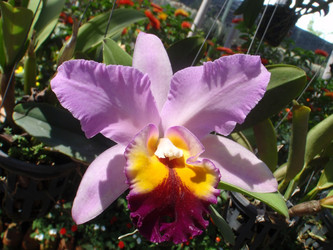 Similar image 869286