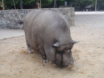 Similar image 869288