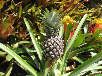 Similar image 869290