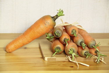 Similar image 869335