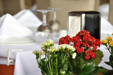 Similar image 869356