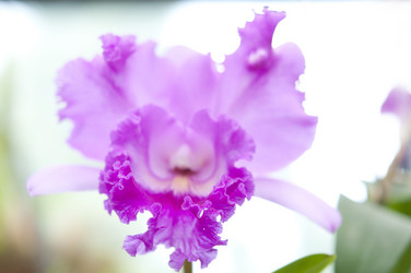 Similar image 869404