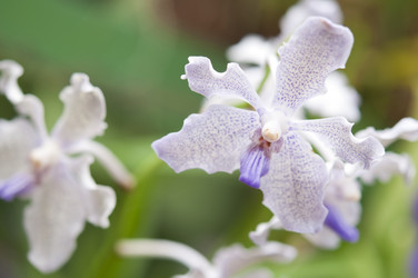 Similar image 869411