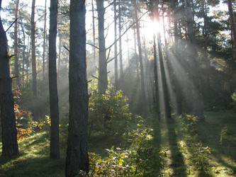 Similar image 869416