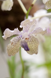 Similar image 869420