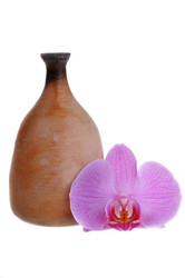 Similar image 869460