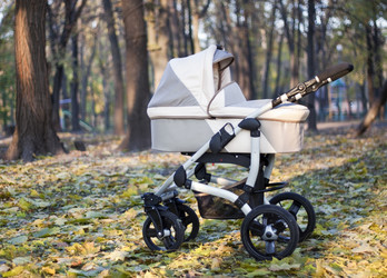 Similar image 869557