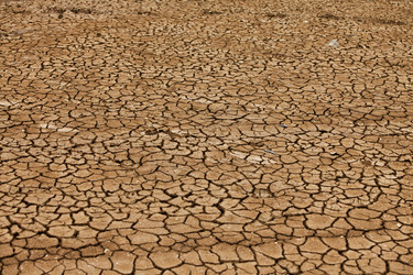 Similar image 869561