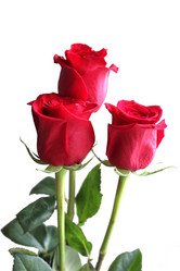 Similar image 869696