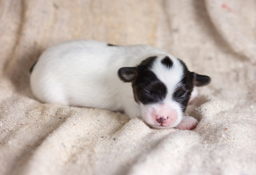 Similar image 869697