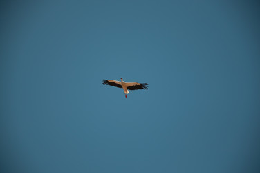 Similar image 869700