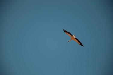 Similar image 869715