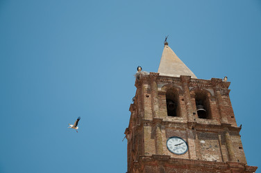 Similar image 869749