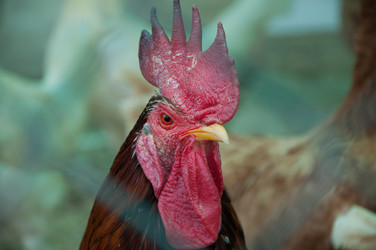 Similar image 869761