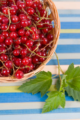 Similar image 869794