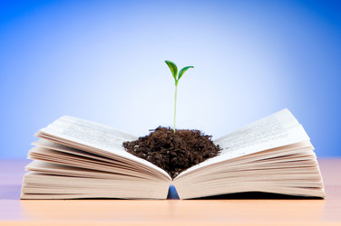 Similar image 869896