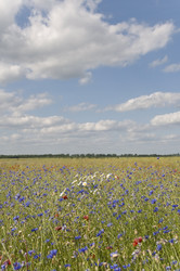 Similar image 869915