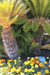 Similar image 869945