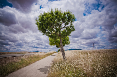 Similar image 869958