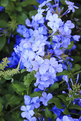 Similar image 869969