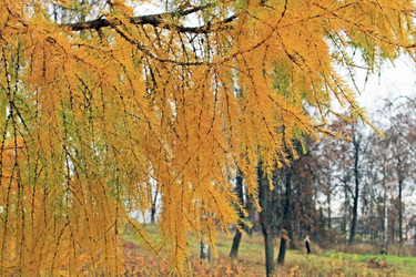 Similar image 870023