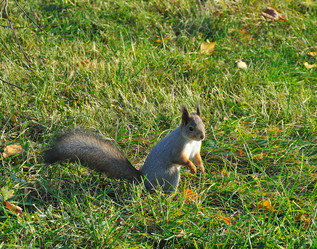 Similar image 870049