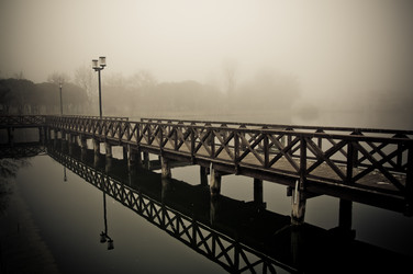 Similar image 870054